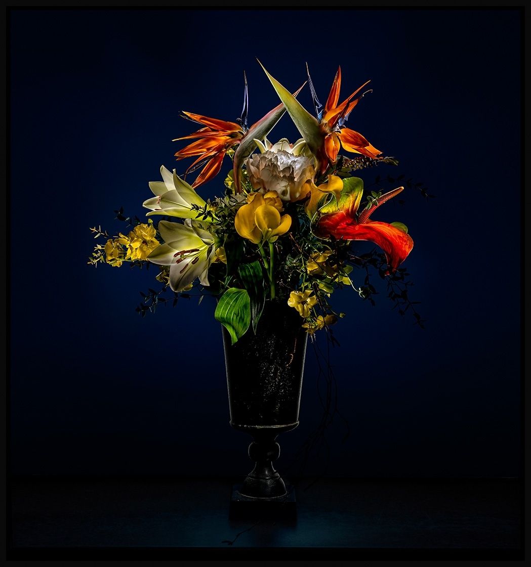 Juergen Mai_Strelitzien